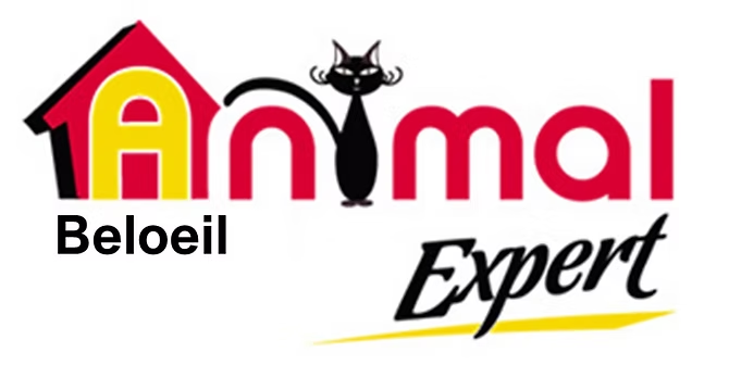 ANIMAL EXPERT BELOEIL